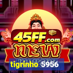 tigrinho 5956